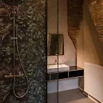 The Hide